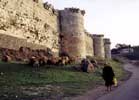 Wall of  Krak Des Chevaliers