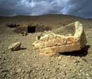 Exposed Hypogeum