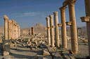 Ruins Stand at Palmyra