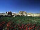 Temple of Baal Shamin- View from Zenobias Hotel