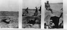 Stages of Excavation of the Tomb at Minet el-Beida (1928)